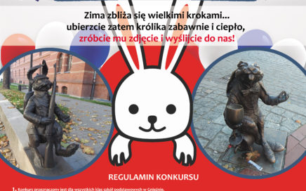 Plakat Otul królika