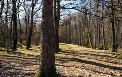 Foto grudzień