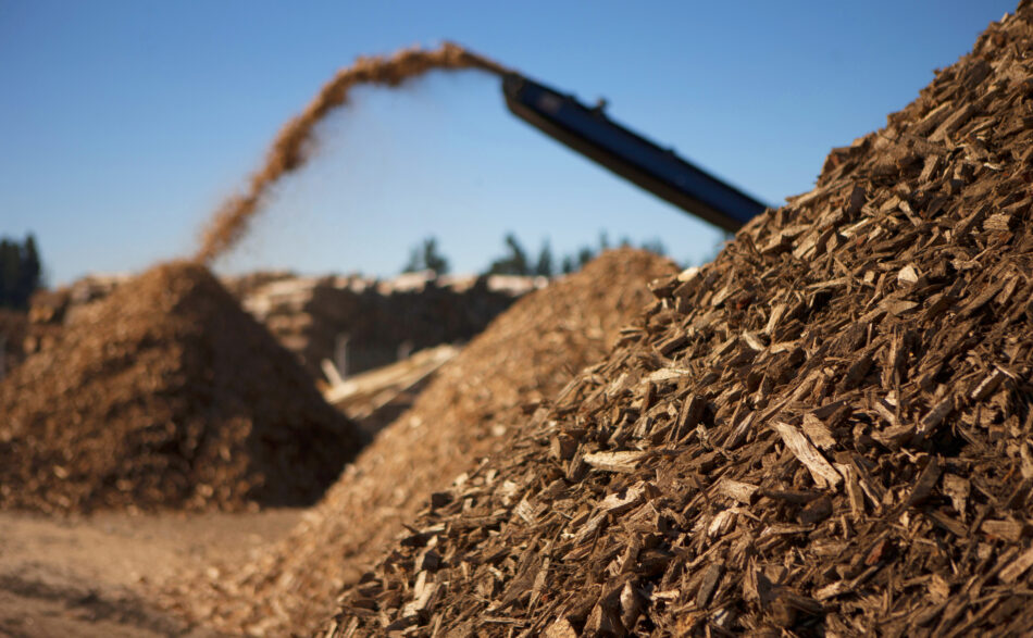 alt="Grafika ilustrująca działania badawczo‑rozwojowe PEC Gniezno"